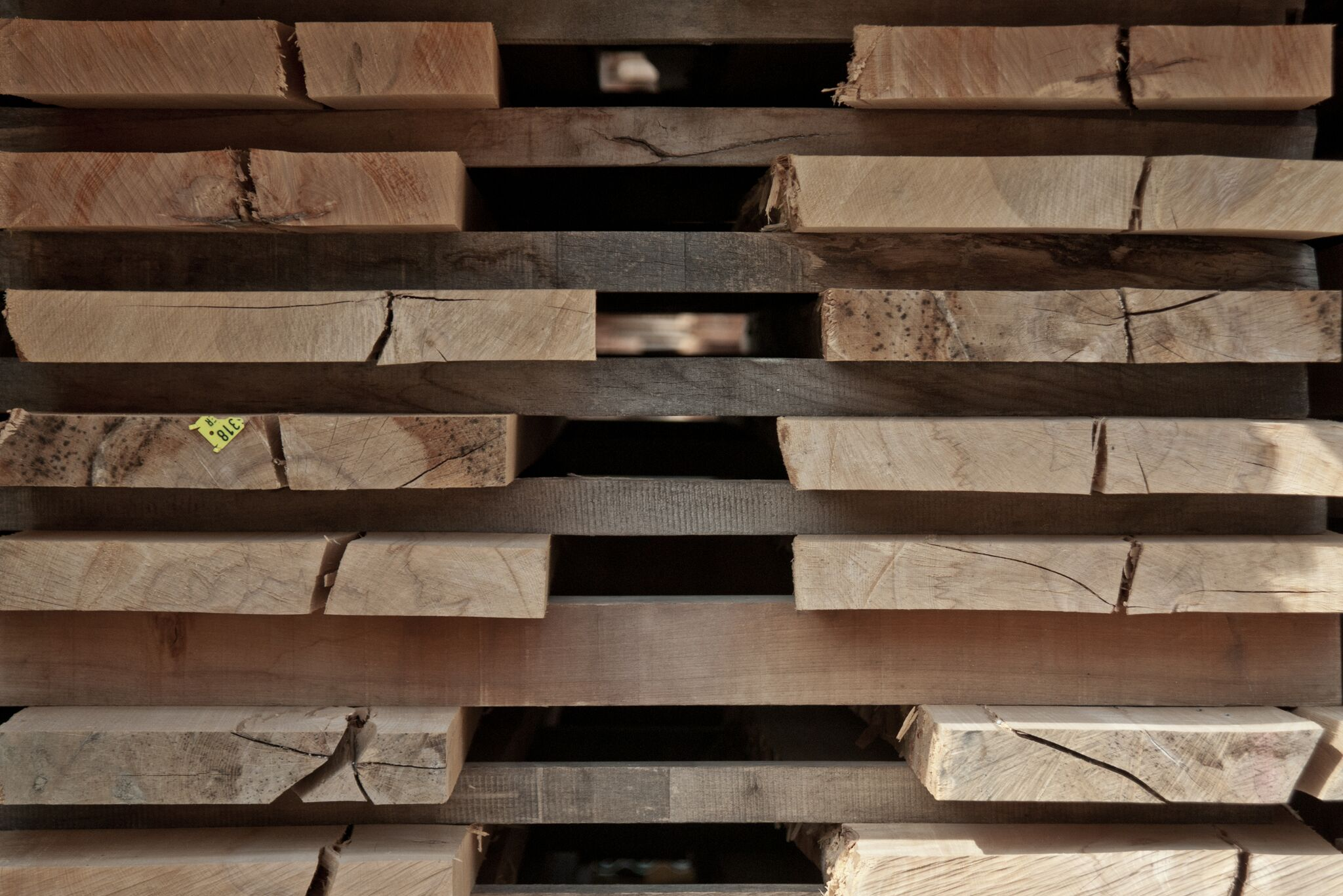 Seminar: Holztrocknung am 16.01.2026