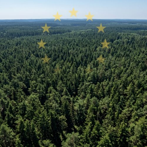 EUDR-Informationsveranstaltung am 28.10.2026